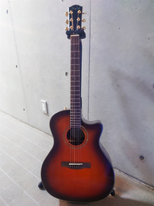 Fender Acoustics GA45SCEの画像